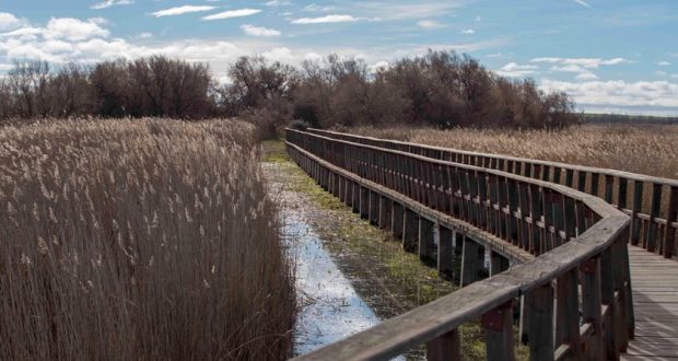 Parque Nacional Tablas de Daimiel
